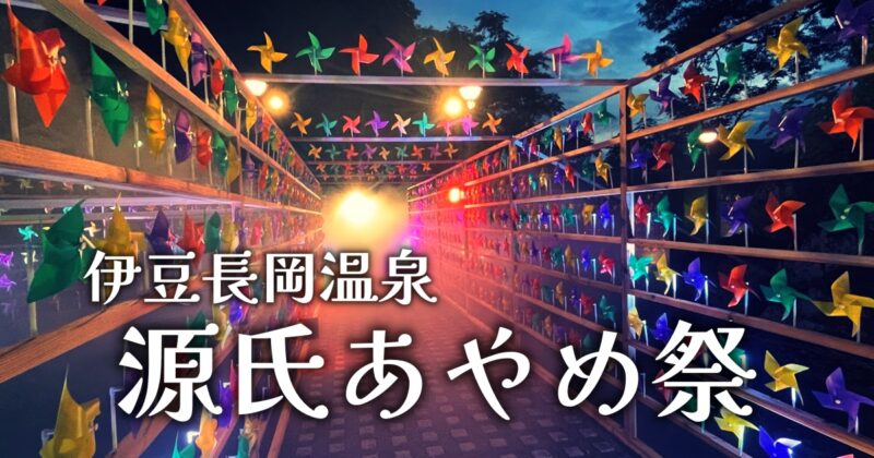 【伊豆の国市・長岡温泉 源氏あやめ祭】幻想的な2000本のかざぐるま♪〈ちゅんころもちレポート〉